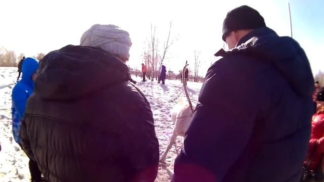 VLOG:Самое смешное видео.Масленица.Красноярск смотреть онлайн