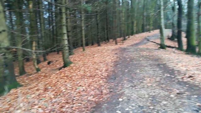 Ansgar Stock - Christmas melody смотреть онлайн