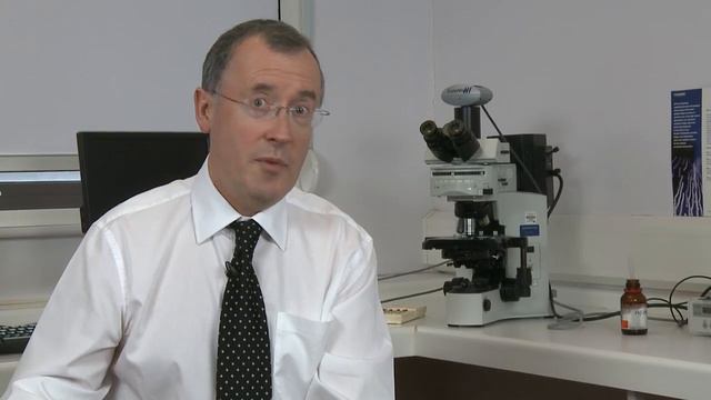 How the Clearblue Conception Indicator works смотреть онлайн