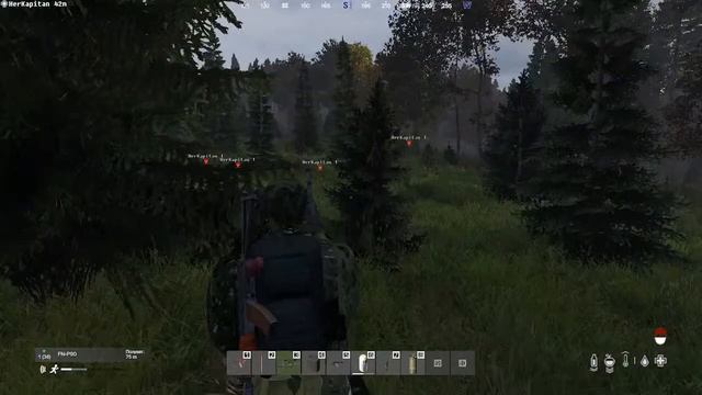 DayZ центр карты смотреть онлайн