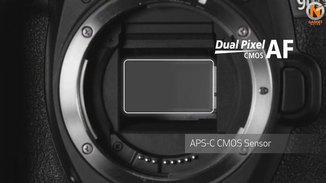 5 Best Canon Cameras 2021 смотреть онлайн