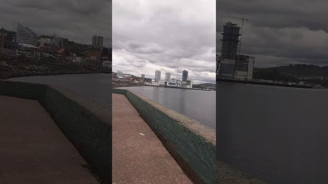 Puerto montt смотреть онлайн