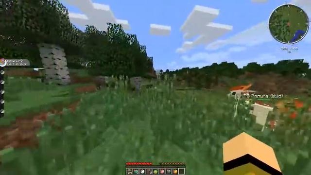 Minecraft PixelMon Let's Play Part 1 смотреть онлайн