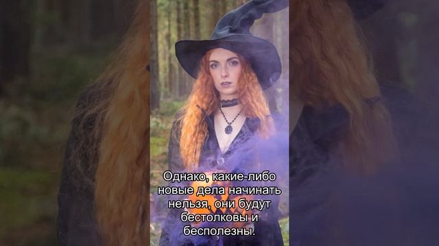 Овен: ежедневный персональный гороскоп на 7 Ноября 2020 смотреть онлайн