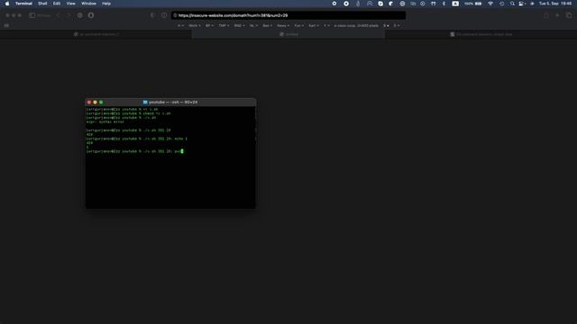 Разминаем пальцы, вспоминаем основы - OS Command Injection 1 смотреть онлайн