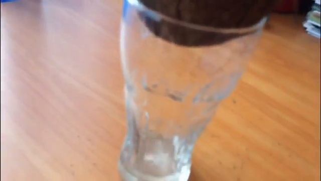 Добыча кокосового молока. Как добыть кокосовое молоко. Смотреть до конца. смотреть онлайн