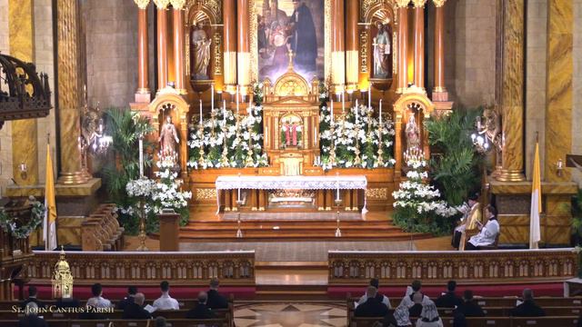 Live Stream - Divine Mercy Chaplet and Vespers - April 24 смотреть онлайн