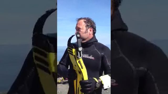 Tusa zoom3, mares quattro and aqualung slingshot fin comparison смотреть онлайн