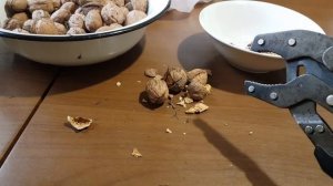 Самый лучший орехокол. Для грецких орехов и не только.