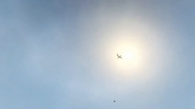 Как проходит - Обычный день смотреть онлайн