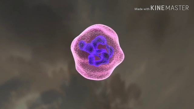 tarasul tausog hal sin corona virus смотреть онлайн