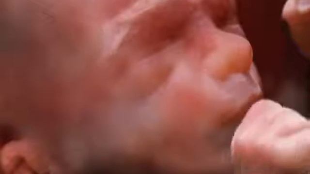 Fetal baby 6 months - Плод. 6 мес. смотреть онлайн