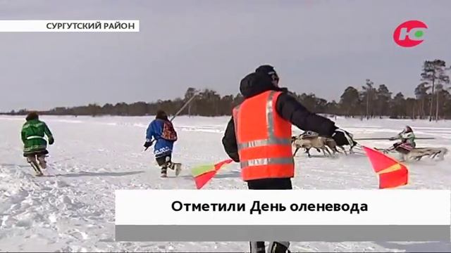 В Сургутском районе прошёл традиционный слёт оленеводов смотреть онлайн