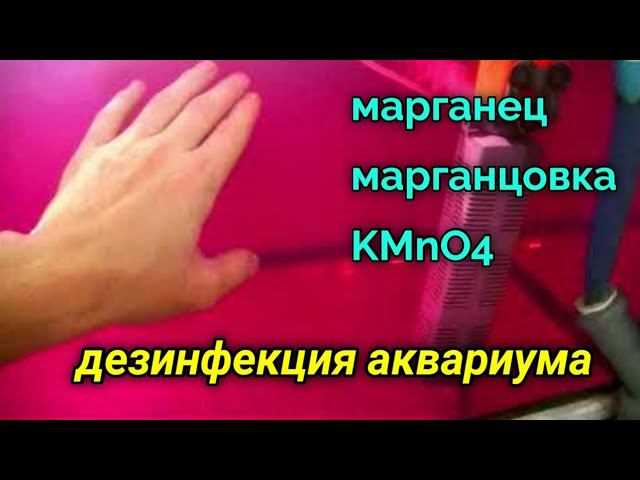 Применение марганцовки для дезинфекции аквариума смотреть онлайн