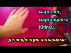 Применение марганцовки для дезинфекции аквариума