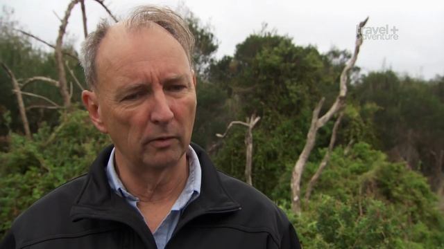 Бол смотреть онлайн