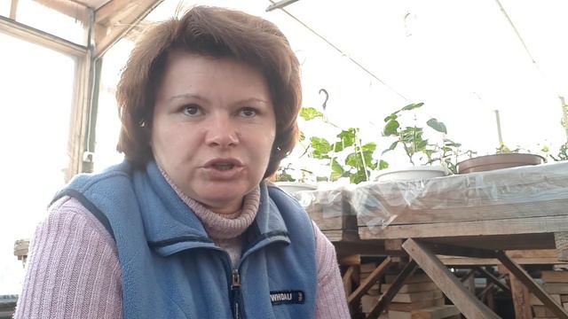 Треш-комменты 😂🤣😂 или "ЭФФЕКТ Мамы Отличника" 🤩😎 смотреть онлайн