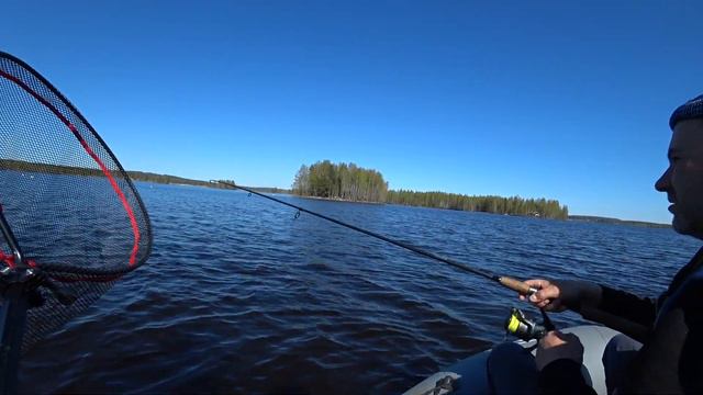 НЕРЕАЛЬНАЯ РЫБАЛКА!!! СКОЛЬКО ЖЕ ТУТ СУДАКА?? УТРО