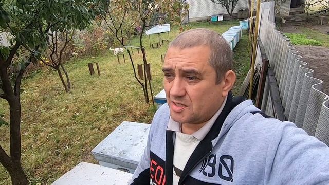 ✅Полезные советы перед зимовкой пчел #1 Пасека на связи! смотреть онлайн