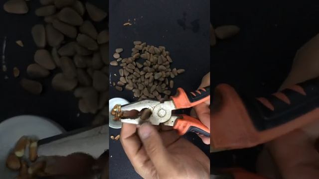 16 июня 2022 г. смотреть онлайн