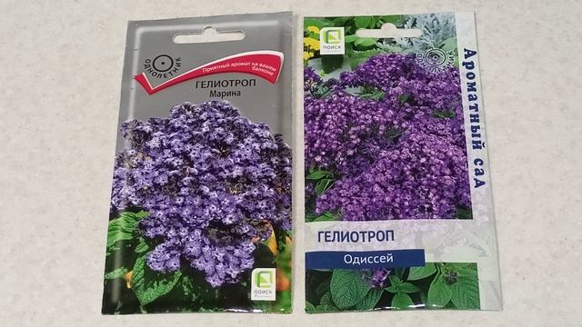 Поступили в продажу семена Гелиотропа.м-н ДАЧА г.Каменск-Уральский 25.03.2023 смотреть онлайн