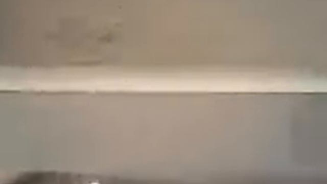 Крышка аквариума смотреть онлайн