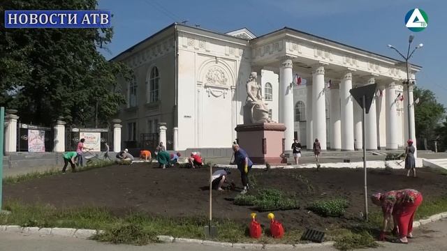 Высадка цветов на клумбы смотреть онлайн