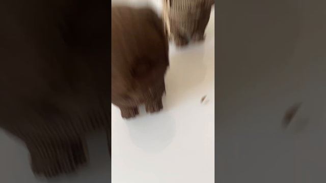 Картонный 3д пазл,артикул в описании смотреть онлайн