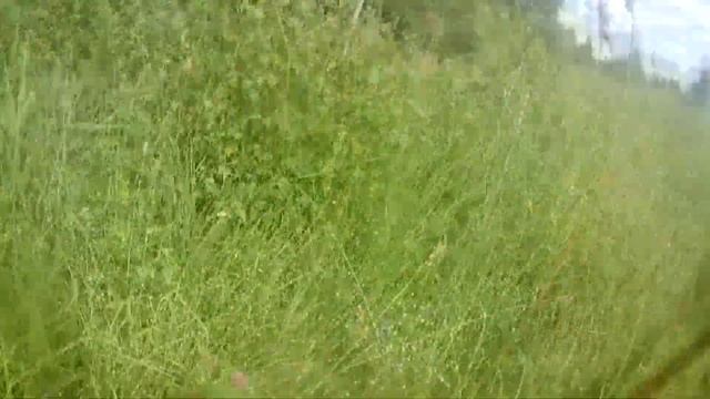 ВСЁ О ПРИРОДЕ. УДИВИТЕЛЬНОЕ РЯДОМ : ВЫПУСК 1. смотреть онлайн