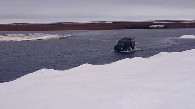 Мсрт смотреть онлайн