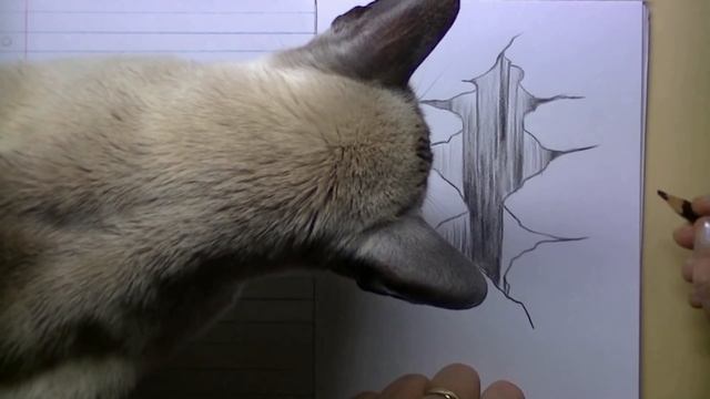 8th Grade 3d drawing draw CRACK in paper смотреть онлайн