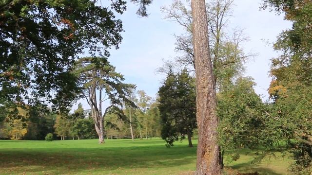 Парк Версаля. смотреть онлайн