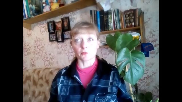 Взошли помидоры, посеяла петунию и мальву