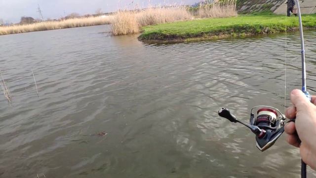 Мормышинг.Весенние караси.gammarus 0.1-0.6 смотреть онлайн