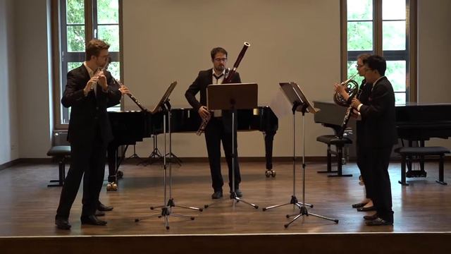 Paul Taffanel - Bläserquintett g-Moll - 3. Satz Vivace смотреть онлайн