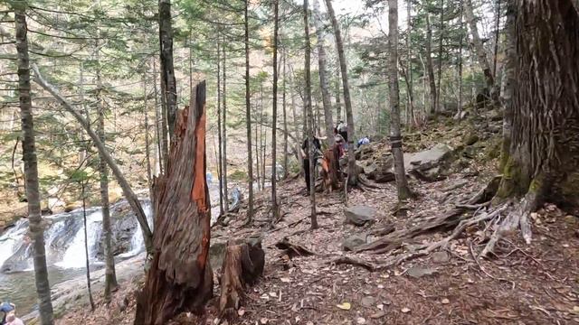 Смольные водопады и кун фу беседка смотреть онлайн