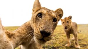 Установка Windows XP Home Edition Service Pack 0 на старый ноутбук