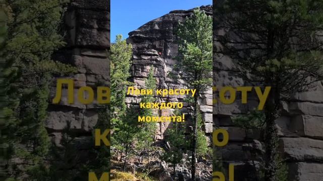 Только мы и медведи в Койском Белогорье #красноярск #сибирь #шортс смотреть онлайн