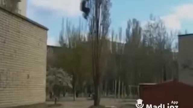 Чыпалак баатыр кинодо смотреть онлайн