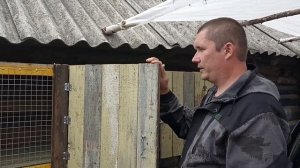 Клетка для кроликов своими руками. Уличная клетка для кроликов.