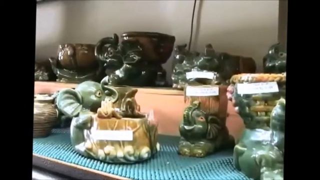 Wholesale Money Tree Plants in Los Angeles - 1-866-557-7098 смотреть онлайн
