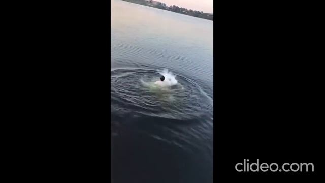 КУПАТЫ БЕЗ ТРУСОВ!!! смотреть онлайн