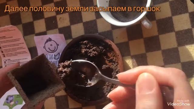 Сеем цветок Флокса смотреть онлайн