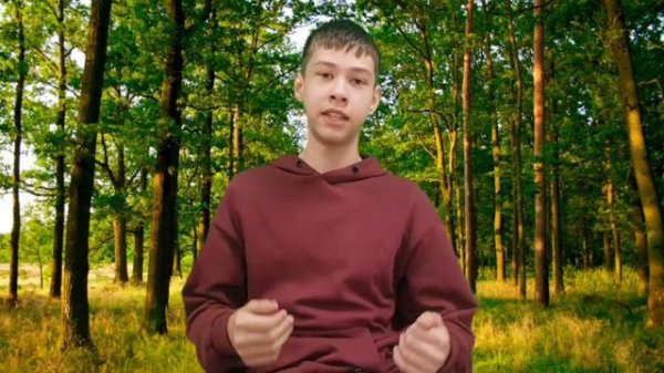 проблемы экологии твери