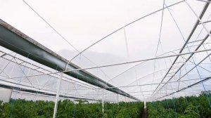 Пленка для теплиц | Обзор тепличной пленки СВЕТЛИЦА ™