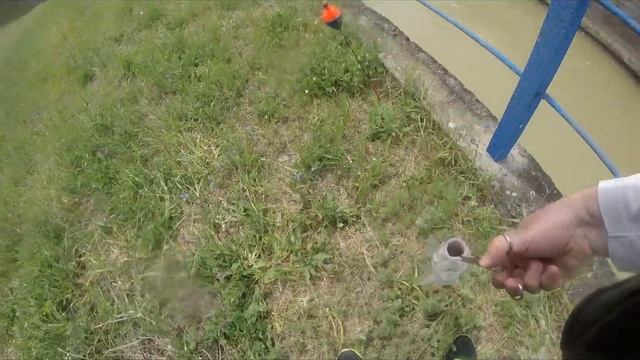 Ловля голавля на сверчка в мае.