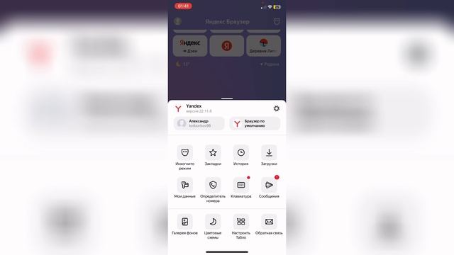 Как очистить историю в Яндекс браузере на Айфоне ? смотреть онлайн