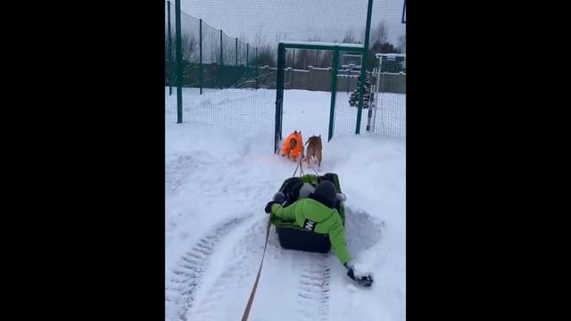 У Павла Прилучного после избиения деформировано лицо и нарушена дикция. смотреть онлайн