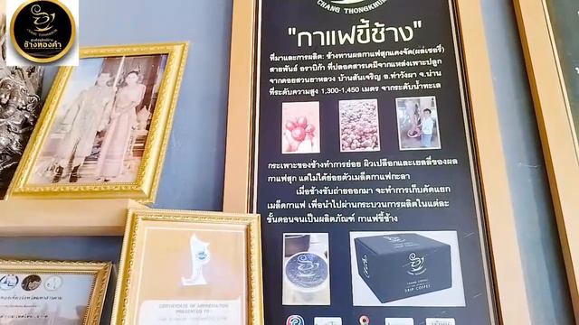 เข้าครัว ทำกับข้าว พูดคุยกับ พจก.หนึ่ง (ศูนย์อนุรักษ์ช้าง ช้างทองคำ) смотреть онлайн