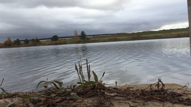 ЛОВЛЯ РОТАНА смотреть онлайн